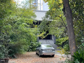 木が…隠しちゃってる