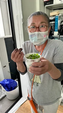 苗床で育った苗の里子、一気に3軒^ - ^
ドリンクカップで電車に乗って市ヶ谷まで行った子も！
元気に育ってねえ^ - ^
よろしくお願いします。