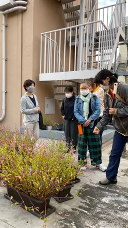 東京楠堂さんの屋上で育てている藍は花が綺麗に咲いててすごーい！