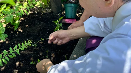 神田明神さんで　関さん、峯岸さん、鳥居宮司で藍の苗を植えてきました。奥の広いスペースにも、どうぞと勧められて。月末にも植えに行く予定です。快晴で気持ちの良いイベントになりました^ - ^ お詣りの列に関さん並んでます！