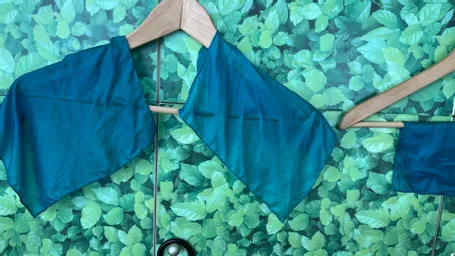 本日は、神田カドウチで育てて取れた種を蒔いて　育った　神田の藍を生葉染めしてみました。

富岡製糸場で購入したシルクのポケットチーフ

良い色に染まりました^ - ^