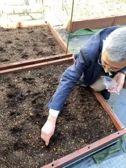 ハゴロモビル屋上にて種まき中！4.23