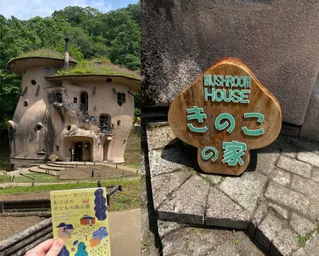 トーベ・ヤンソンあけぼのの森①「きのこの家」