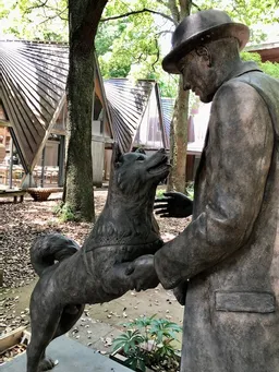 文京区のハチ公