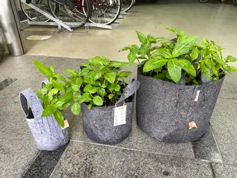 ポーチ各タイプ