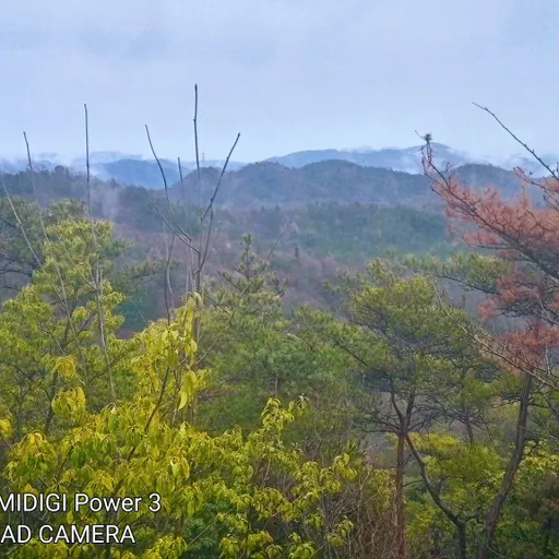 里山自然公園　秋の散策2