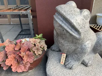 ここではカエルさんに会いました