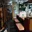 居酒屋風屋（KAZAYA）