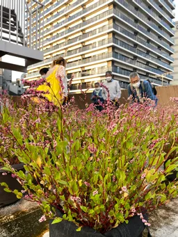 楠堂藍のホテル