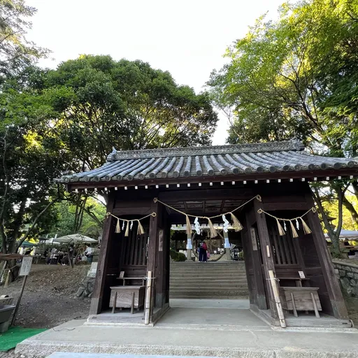 龍の道を巡るコース