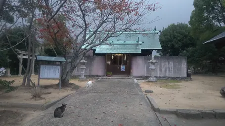 猫さんが多く猫さん好きには堪らない神社でした。 見晴らしもよく、天気が良ければもっと景色が綺麗に見れなかったのが残念です…( ´-` )