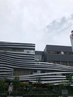 隈研吾建築の中に何かが見える・・・？