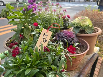 揚げる音が軽やかです