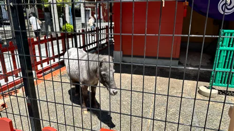 神田明神さんで　関さん、峯岸さん、鳥居宮司で藍の苗を植えてきました。奥の広いスペースにも、どうぞと勧められて。月末にも植えに行く予定です。快晴で気持ちの良いイベントになりました^ - ^ お詣りの列に関さん並んでます！