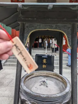 馬生まれの人たちは希望が多い