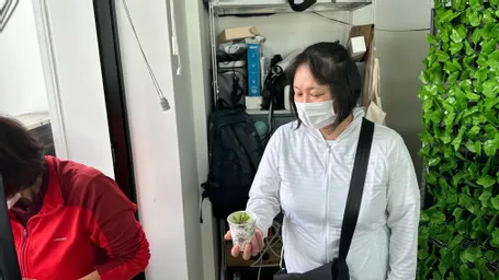 苗床で育った苗の里子、一気に3軒^ - ^
ドリンクカップで電車に乗って市ヶ谷まで行った子も！
元気に育ってねえ^ - ^
よろしくお願いします。