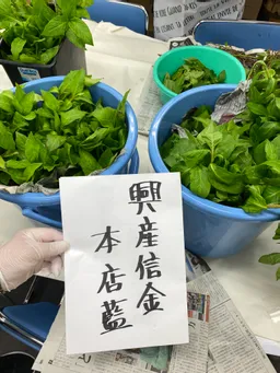 東松下町会納涼祭りにて、生葉ハンカチ染めをしてきました。
皆さまが、栽培している藍が勢揃い💕
子どもたちもご家族も喜んでくださいました。
60組ほどご参加くださいました！