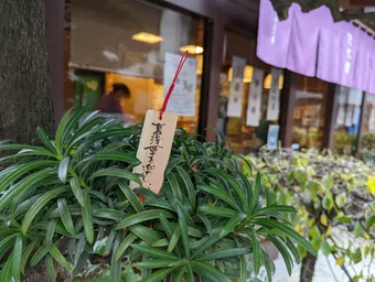 このタイプの店大好き