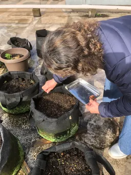 本日追加で種蒔きしました。
4/20頃蒔いた物が少し芽を出して来ました。
今年は少しスロースタートです。