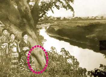 1-5　高瀬舟をつないだ浜倉の榎　