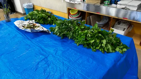 事前レクチャーちう
スタッフのみなさん3名
日大、東洋大学の実習生4名義
我々5名