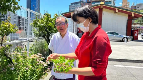 神田明神さんで　関さん、峯岸さん、鳥居宮司で藍の苗を植えてきました。奥の広いスペースにも、どうぞと勧められて。月末にも植えに行く予定です。快晴で気持ちの良いイベントになりました^ - ^ お詣りの列に関さん並んでます！
