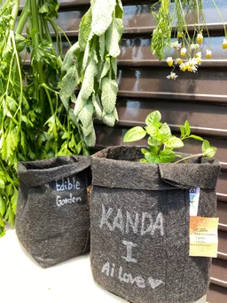 藍栽培動画をアップ中