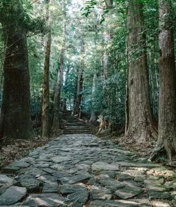 大門坂　13：24到着