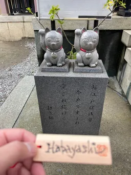 白猫ちゃんはこの時間は寝てるだろうな