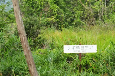 オカンノロ湿原