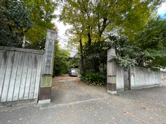 木が…隠しちゃってる