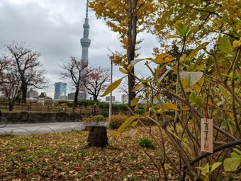 この辺で寝てことあります！