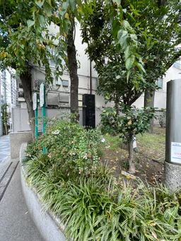 通りからは気づきにくいぞ