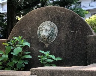 ライオンさん泣いてる？？