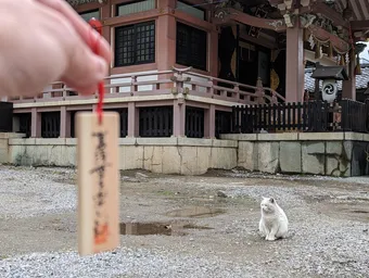 ○○ちゃんと会いました！名前を本人から聞きました❤️
