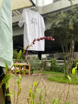 川端緑道バトンパークでの藍の花です