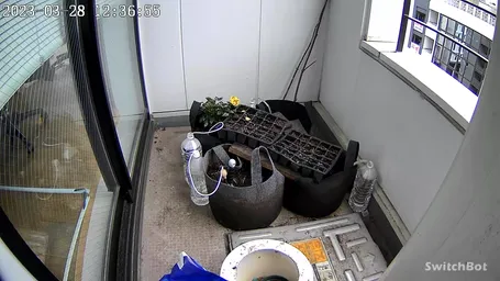 2023年　3月25日 オンライン一斉種蒔きイベント
今年は苗床で種蒔きしました。

水やりキットのテストも順調
IOTの監視カメラも作動して水の減り方が確認出来ます！