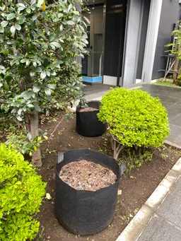 興産信金様栽培サポーターに！