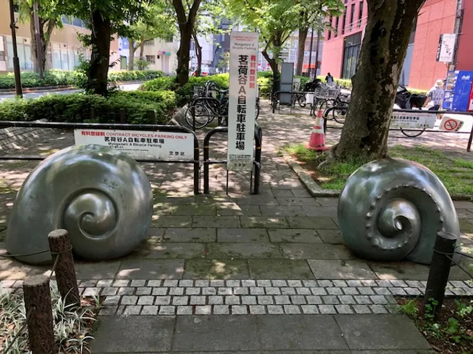 巻貝？それともタコの腕？