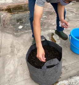 東京楠堂さんで、藍の種まきをいたしました6.2
屋上に設置いただきました。