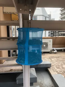 刈り取りして乾燥葉を作り始めました。ポットにはお礼肥を与え、8/20の東松下町町会のイベントに向けて水やりをしていきます。