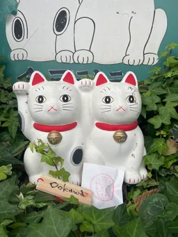 風格のある猫様です🙏