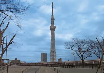 墨田公園（台東区側）