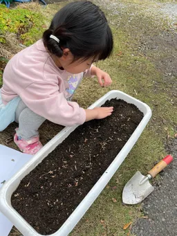 本日、種まきしました。
今年は子供と藍染めができるといいなぁ。
育つのが楽しみ。