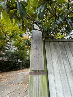 木が…隠しちゃってる