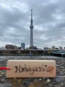 あいにくのお天気ですが、ホント全景見れますね。